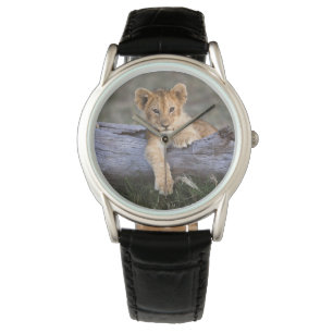 Reloj De Pulsera Animales de bebé más afectados Cubo de león cort