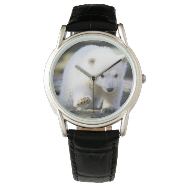 Reloj De Pulsera Animales de bebé más afectados | Cubo de oso polar (Anverso)