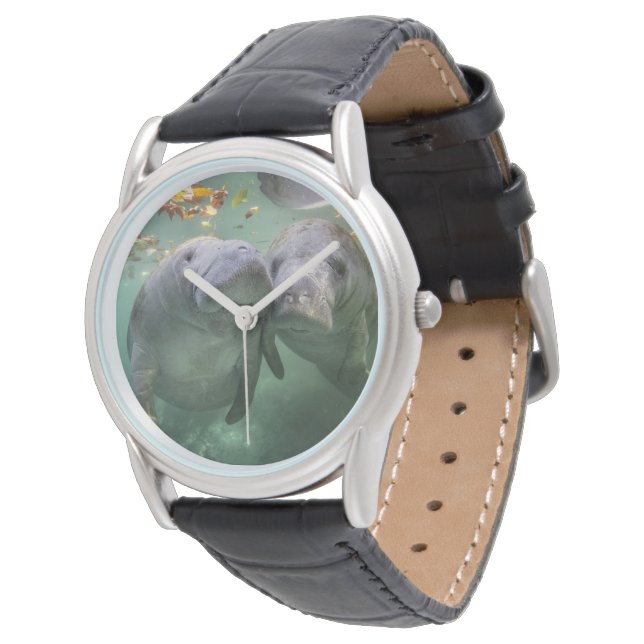 Reloj De Pulsera Animales de bebé más afectados | Dos Manatíes (Angular)
