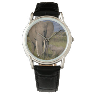 Reloj De Pulsera Animales de bebé más afectados Elefante Amama co