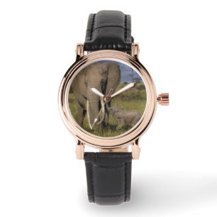 Reloj De Pulsera Animales de bebé más afectados   Elefante Amama co