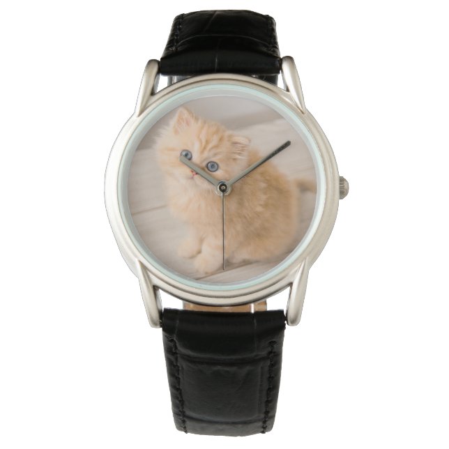 Reloj De Pulsera Animales de bebé más afectados | Gatito Longhair B (Anverso)