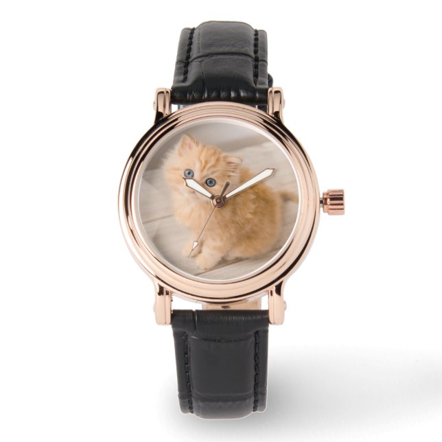 Reloj De Pulsera Animales de bebé más afectados | Gatito Longhair B (Anverso)