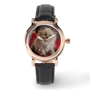 Reloj De Pulsera Animales de bebé más afectados   Gatito siamés