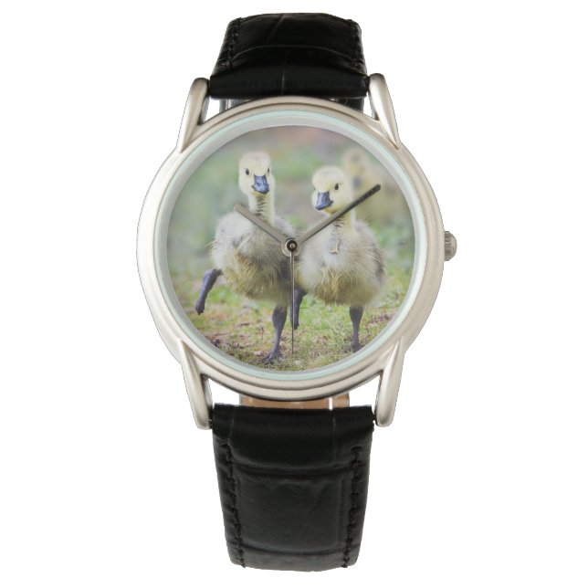 Reloj De Pulsera Animales de bebé más afectados | Goslings Canadien (Anverso)