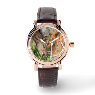 Reloj De Pulsera Animales de bebé más afectados   Horse Colt