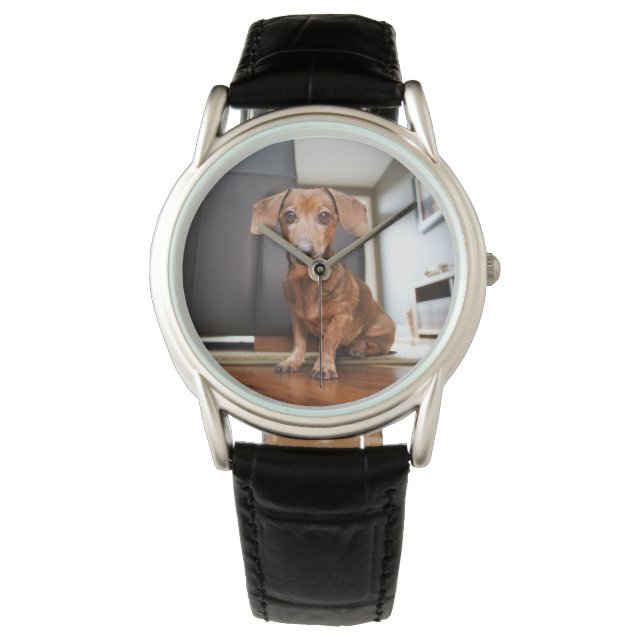 Reloj De Pulsera Animales de bebé más afectados | Mini Dachshund Pu (Anverso)