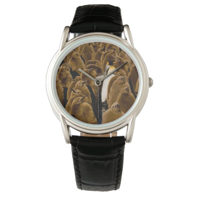 Reloj De Pulsera Animales de bebé más afectados | Pingüino Entre Jó (Anverso)