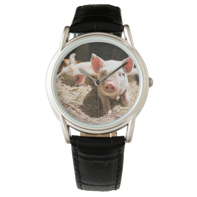 Reloj De Pulsera Animales de bebé más afectados | Pizarra De Bebé (Anverso)