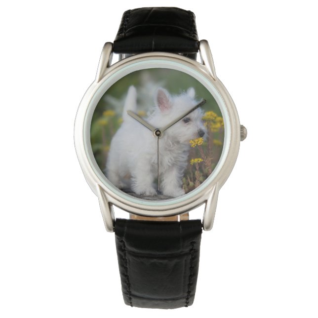 Reloj De Pulsera Animales de bebé más afectados | Territorio Blanco (Anverso)