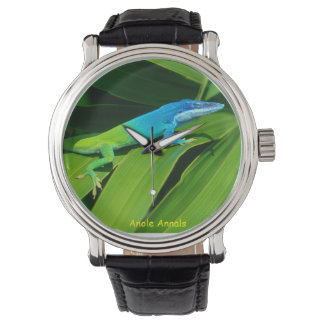 Reloj De Pulsera Anole Watch: Anolis allisoni