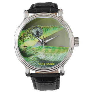 Reloj De Pulsera Anole Watch: Anolis equestris