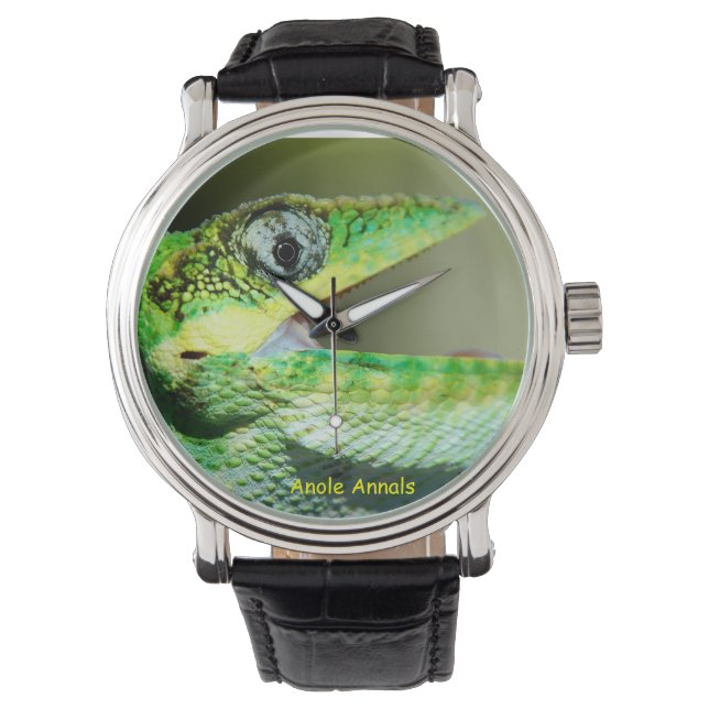 Reloj De Pulsera Anole Watch: Anolis equestris (Anverso)