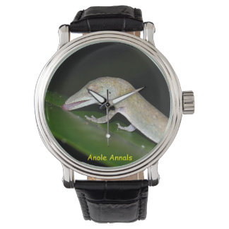 Reloj De Pulsera Anole Watch: Anolis occultus