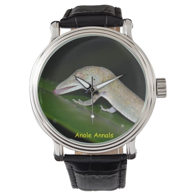 Reloj De Pulsera Anole Watch: Anolis occultus (Anverso)