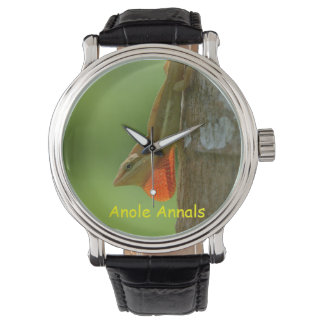 Reloj De Pulsera Anole Watch: Anolis pulchellus