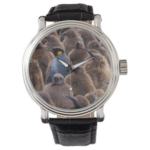 Reloj De Pulsera Antártida, isla de Georgia del Sur, pingüinos rey