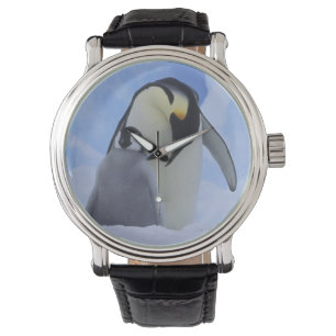 Reloj De Pulsera Antártida. Pingüinos emperador y cría