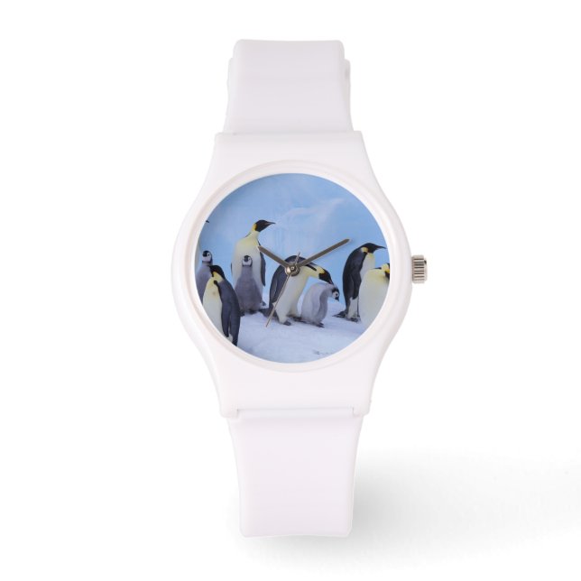 Reloj De Pulsera Antártida, Pingüinos Emperadores (Anverso)