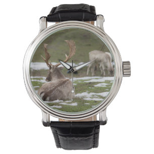 Reloj De Pulsera Antler