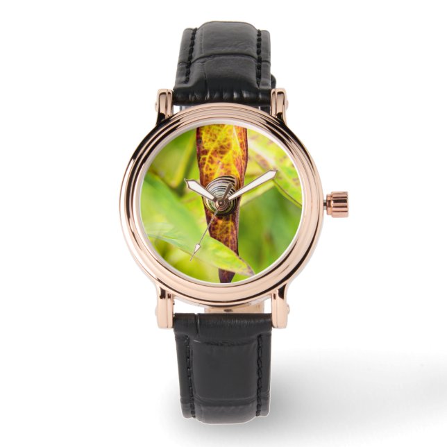 Reloj De Pulsera apego (Anverso)