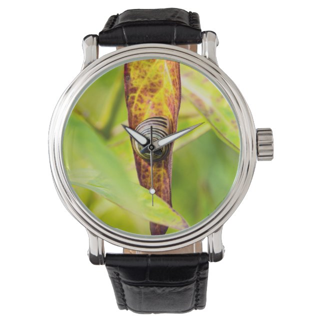Reloj De Pulsera apego tranquilo (Anverso)