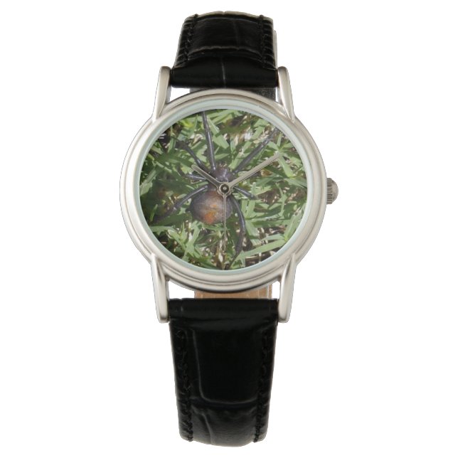 Reloj De Pulsera Araña De Reproducción En La Grasa Verde, (Anverso)