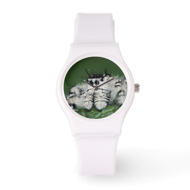 Reloj De Pulsera Araña Saltarina Metaphid (Anverso)