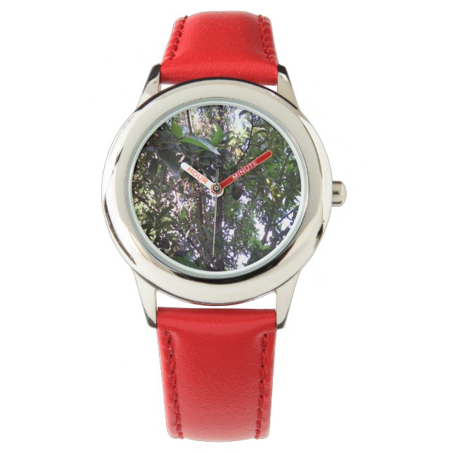 Reloj De Pulsera Árbol de aguacate (Anverso)