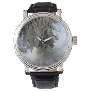 Reloj De Pulsera Árbol de canonbol, Ciudad Vieja de Quebec, Quebec,