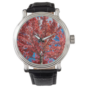 Reloj De Pulsera Árbol de hojas rojas en otoño