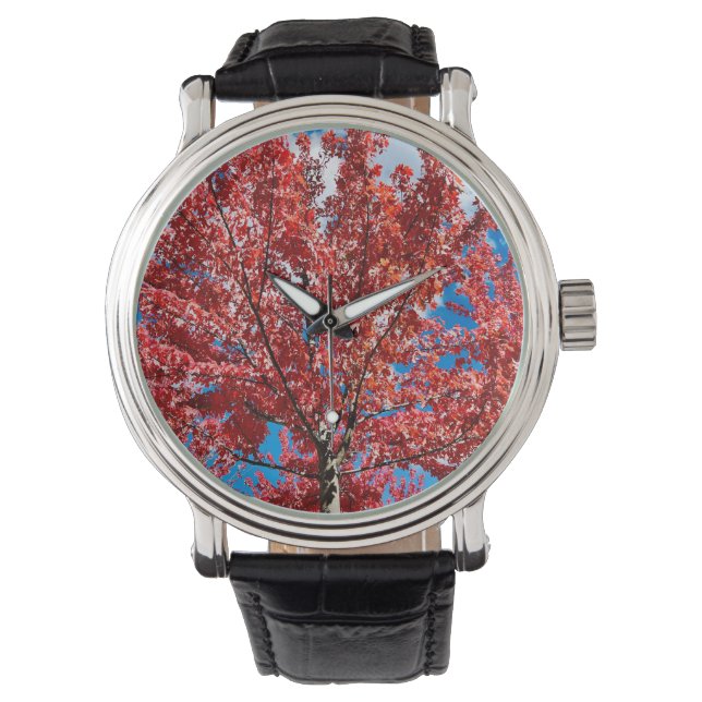Reloj De Pulsera Árbol de hojas rojas en otoño (Anverso)