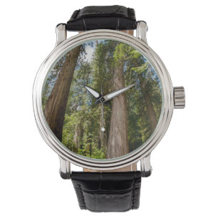Reloj De Pulsera Árboles de cedro rojo occidental