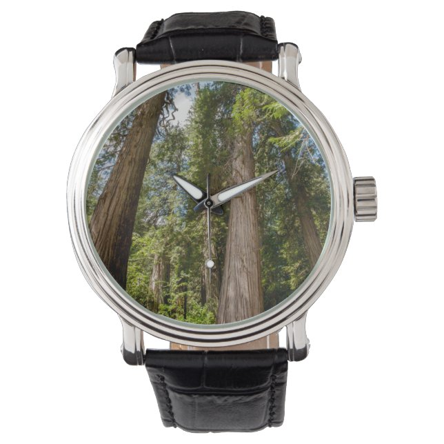 Reloj De Pulsera Árboles de cedro rojo occidental (Anverso)