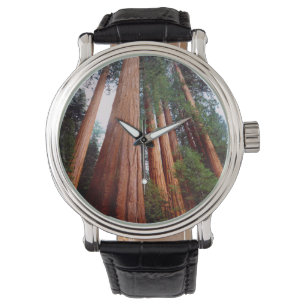 Reloj De Pulsera Árboles de secuoya roja de crecimiento antiguo