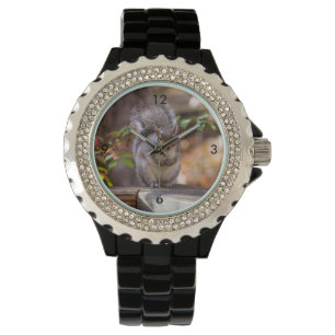 Reloj De Pulsera Ardilla mendicante