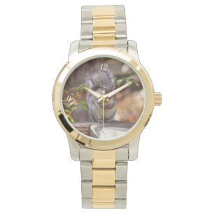 Reloj De Pulsera Ardilla mendicante
