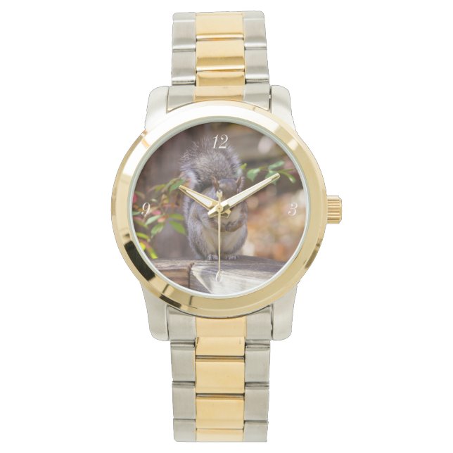 Reloj De Pulsera Ardilla mendicante (Anverso)