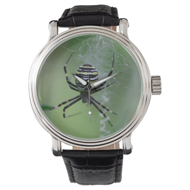 Reloj De Pulsera Argiope bruennichi (Anverso)