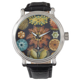 Reloj De Pulsera Ascidiae de Ernst Haeckel, Animales Marinos Vintag