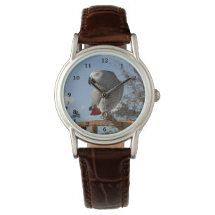 Reloj De Pulsera Asombroso loro gris africano