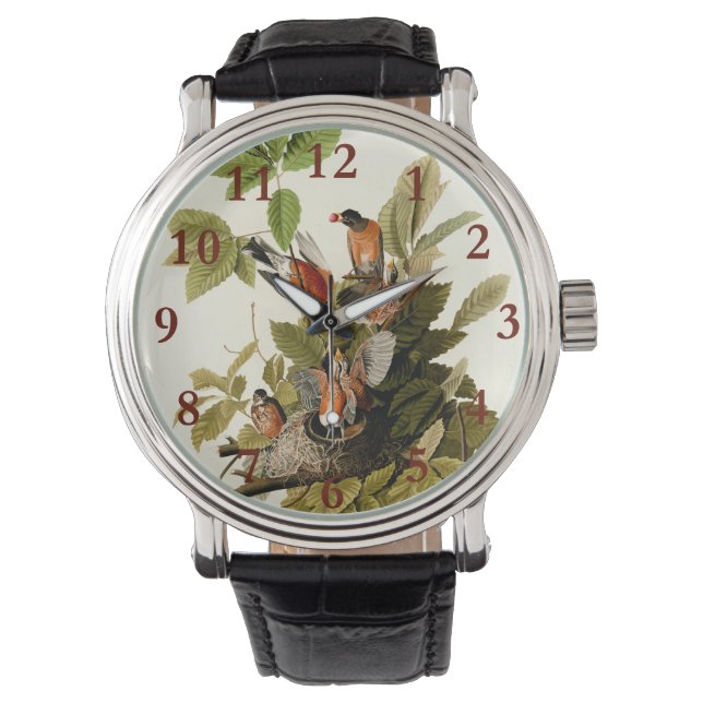 Reloj De Pulsera Audubon American Robin Wildlife Bird Ilustracion (Anverso)