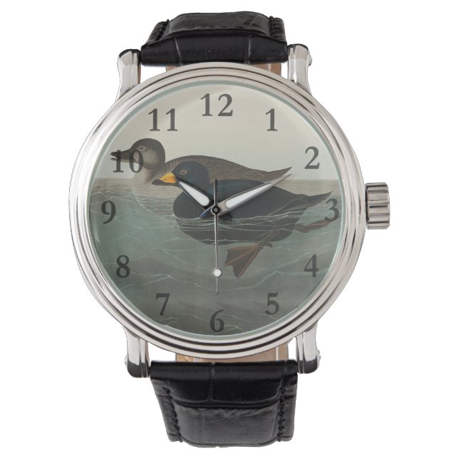 Reloj De Pulsera Audubon American Scoter Duck Classic (Anverso)