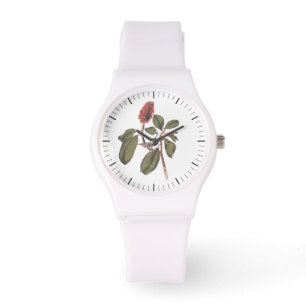 Reloj De Pulsera Audubon Bonaparte Flycatcher Songbird y Magnolia