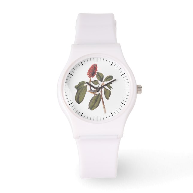 Reloj De Pulsera Audubon Bonaparte Flycatcher Songbird y Magnolia (Anverso)