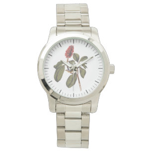 Reloj De Pulsera Audubon Bonaparte Flycatcher Songbird y Magnolia