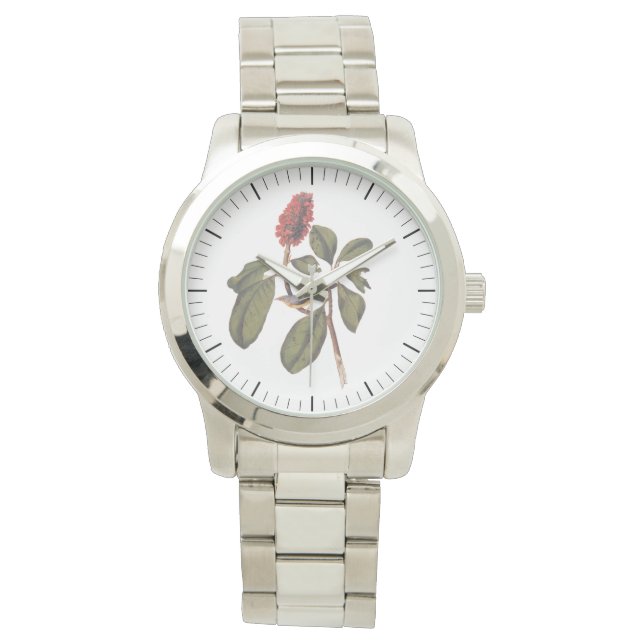 Reloj De Pulsera Audubon Bonaparte Flycatcher Songbird y Magnolia (Anverso)