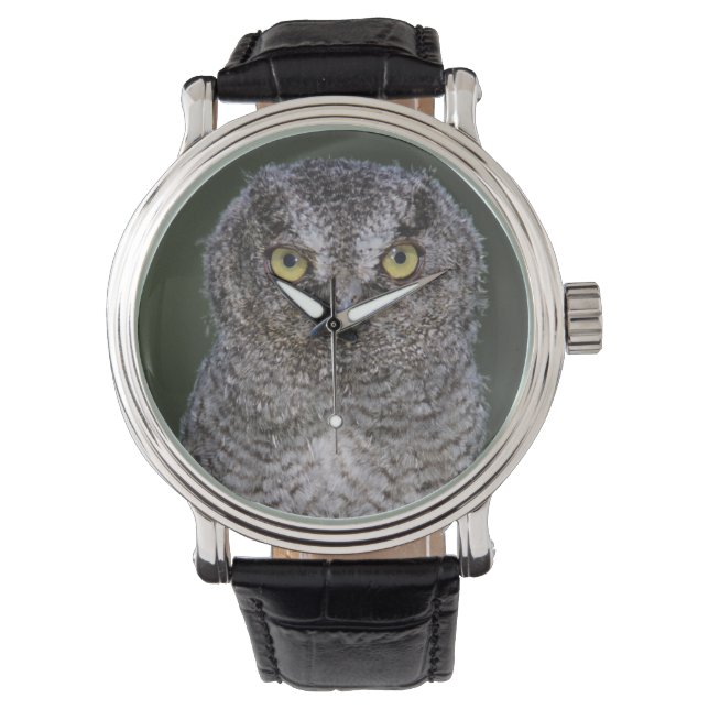 Reloj De Pulsera Autillo Americano, Megascops asio, Otus 2 (Anverso)
