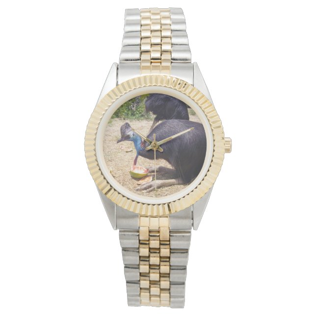 Reloj De Pulsera Ave Casera Disfrutando Melones, (Anverso)