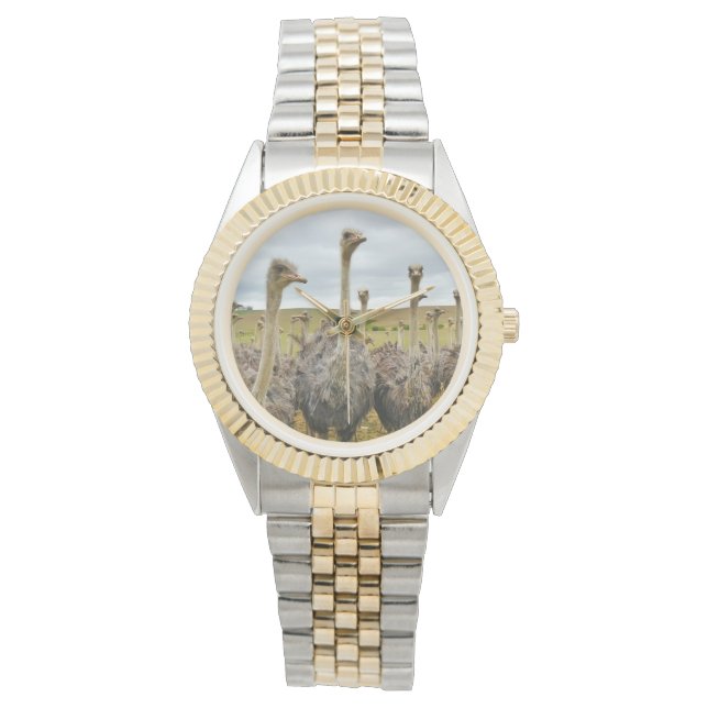 Reloj De Pulsera Ave de Ostrich (Anverso)